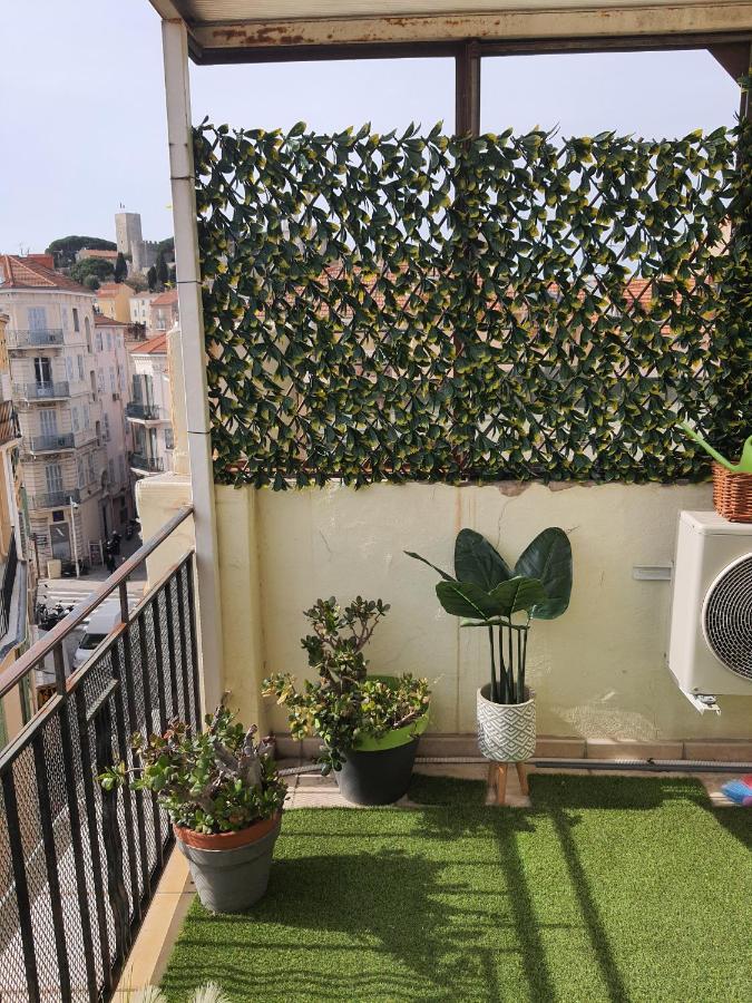 Apartment Alea